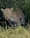 Best of Kenya Best of Kenya feedback NaN