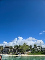 Best of Mauritius feedback NaN