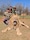 South Africa with Pilanesberg National Park South Africa with Pilanesberg National Park feedback NaN