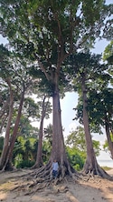 Best of Andaman Best of Andaman feedback 6