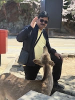 Best of Japan with Nagoya feedback NaN