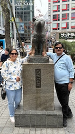 Best of Japan with Nagoya feedback NaN