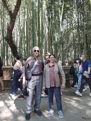 Best of Japan feedback NaN