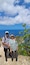 Best of Bali Best of Bali feedback NaN
