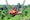 Best of Bali feedback NaN