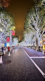 Wonders of Japan Wonders of Japan feedback 5