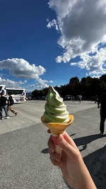 Wonders of Japan Wonders of Japan feedback 9