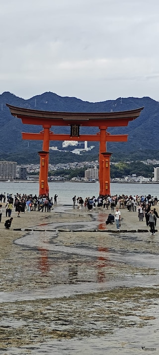 Wonders of Japan Wonders of Japan feedback 3