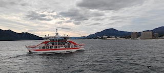 Wonders of Japan Wonders of Japan feedback 1