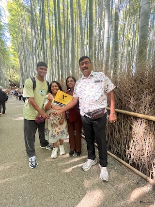 Wonders of Japan Wonders of Japan feedback 2