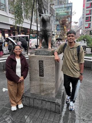 Wonders of Japan Wonders of Japan feedback 1