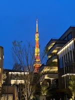 Marvels of Japan feedback NaN