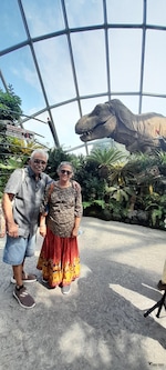 Singapore Thailand Malaysia feedback NaN