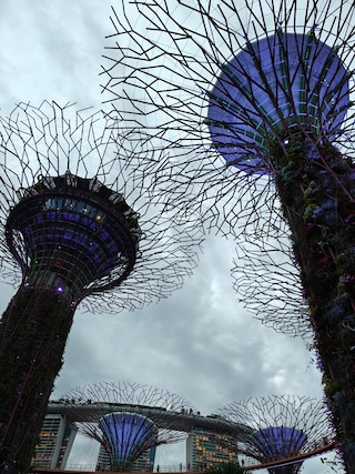 Singapore Thailand Malaysia - Part Tour Singapore Thailand Malaysia - Part Tour feedback 7