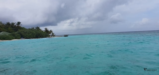 Best of Maldives Best of Maldives feedback 1