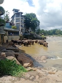 Best of Sri Lanka feedback 15
