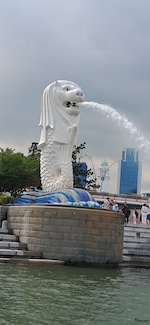 Best of Singapore feedback 5