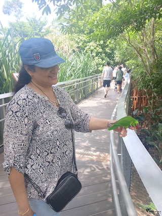 Best of Singapore Best of Singapore feedback 2