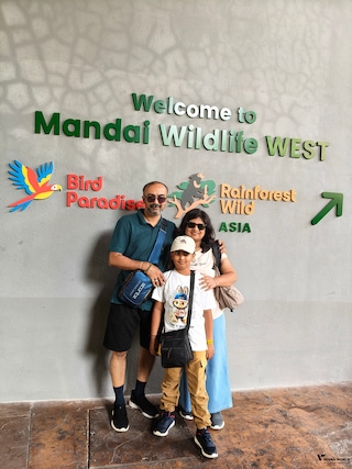 Best of Singapore feedback 2