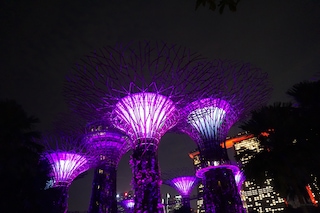 Singapore Malaysia Singapore Malaysia feedback 5
