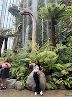 Singapore Malaysia feedback NaN