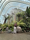 Singapore Malaysia feedback 3