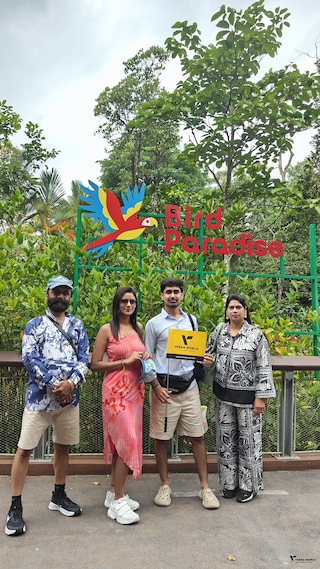 Singapore Thailand Singapore Thailand feedback 3