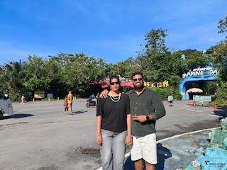 Bangkok Pattaya Phuket Krabi Bangkok Pattaya Phuket Krabi feedback 1