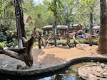 Highlights of Thailand feedback NaN