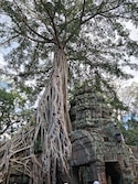 Vietnam Cambodia Vietnam Cambodia feedback 11