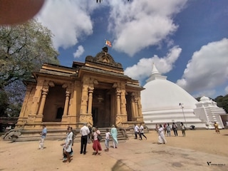 Seniors' Special Sri Lanka feedback 1