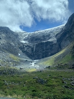 All of New Zealand feedback NaN