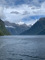 All of New Zealand feedback NaN