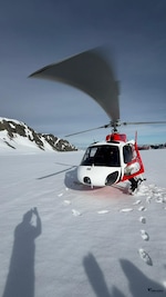 Best of New Zealand feedback 3