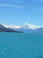 Best of New Zealand feedback 4