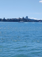 Best of New Zealand feedback 1