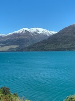 Best of New Zealand feedback 7