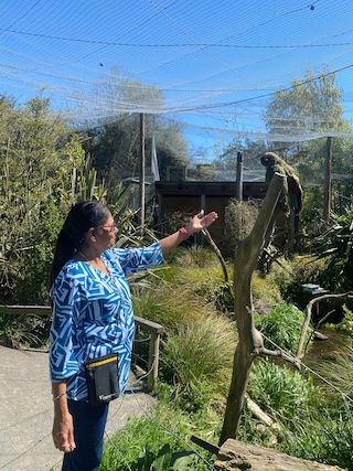 Australia New Zealand feedback 3