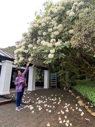 Australia New Zealand feedback 2