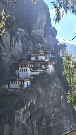 Best of Bhutan feedback NaN