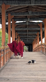 Best of Bhutan feedback NaN