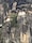 Best of Bhutan Best of Bhutan feedback NaN