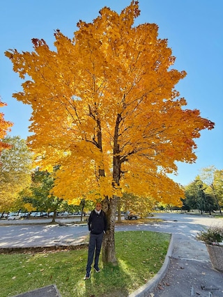 All of Eastern Europe feedback 1