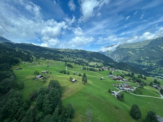 Swiss Austria Swiss Austria feedback 4