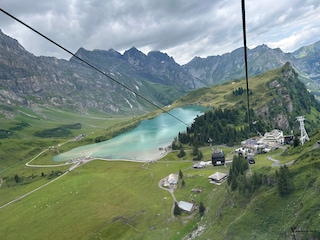 Swiss Austria Swiss Austria feedback 1