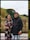European Panorama European Panorama feedback NaN