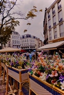 European Panorama feedback 7