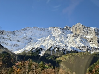 European Splendours feedback 1