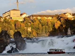 European Splendours feedback 3