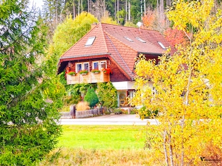 European Splendours feedback 2